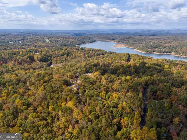 67 Cottonwood Ct, Martin, GA 30557