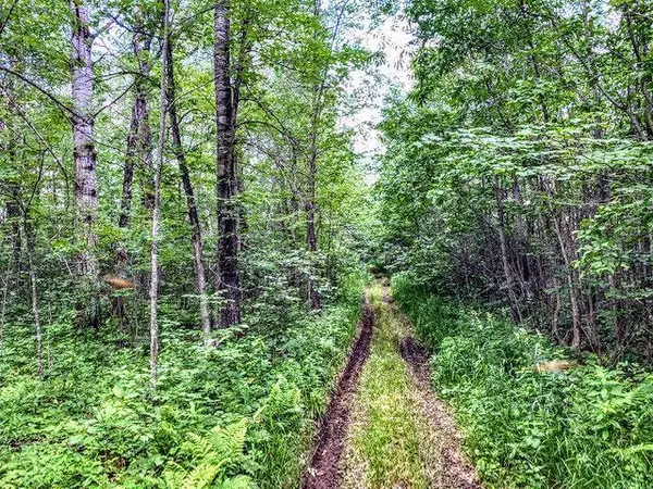 2820 320th AVE, Brook Park, MN 55007