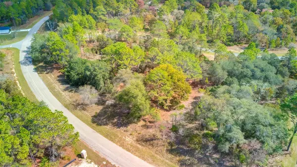 1850 W HIALEAH DR, Citrus Springs, FL 34434