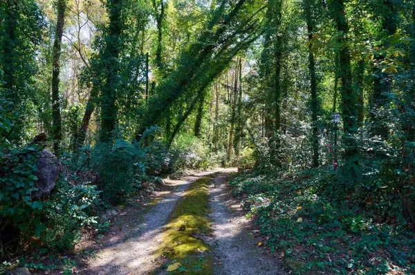 9505 Coleman RD, Roswell, GA 30075