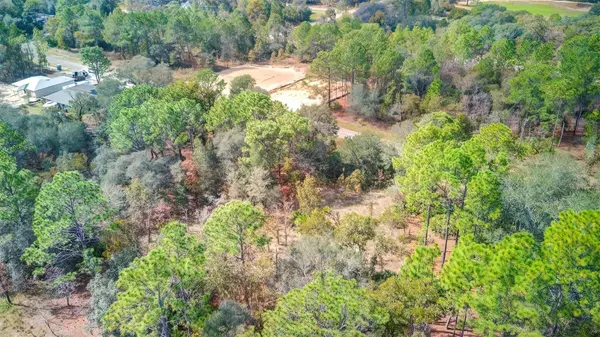 1850 W HIALEAH DR, Citrus Springs, FL 34434