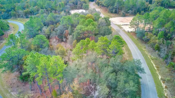 1850 W HIALEAH DR, Citrus Springs, FL 34434