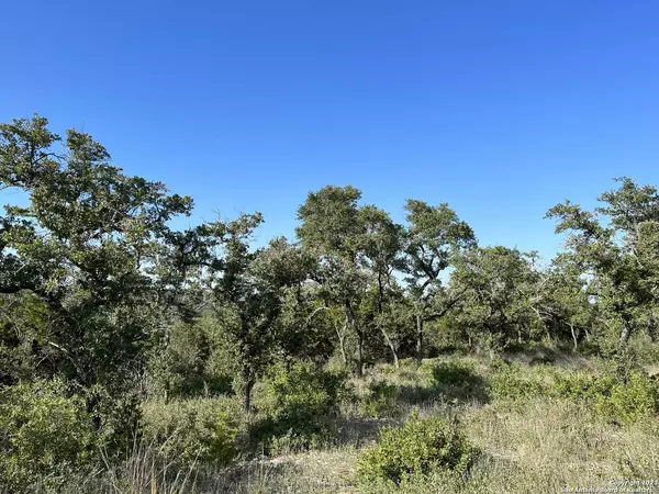 TBD ALDER SPRINGS, San Antonio, TX 78023