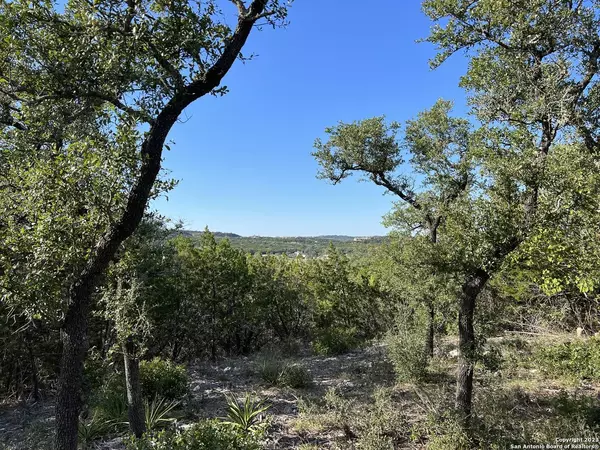 TBD ALDER SPRINGS, San Antonio, TX 78023