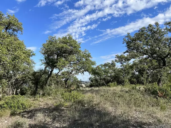 TBD ALDER SPRINGS, San Antonio, TX 78023