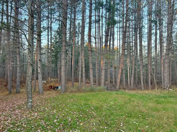 40458 509th LN, Palisade, MN 56469