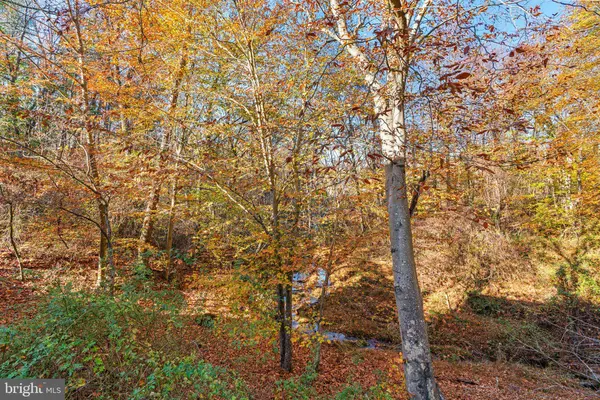 10659 BREEZEWOOD DR, Woodstock, MD 21163