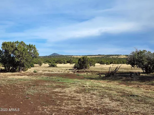 1230 Ortega Mountain Road #-, Show Low, AZ 85901