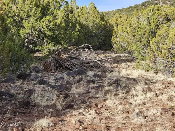 1230 Ortega Mountain Road #-, Show Low, AZ 85901