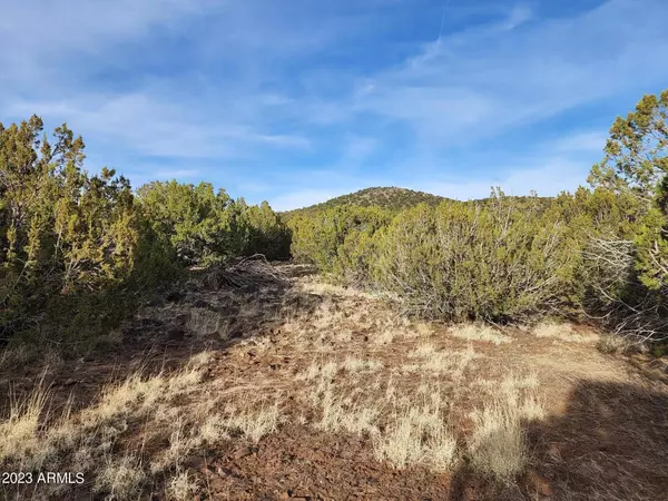 1230 Ortega Mountain Road #-, Show Low, AZ 85901
