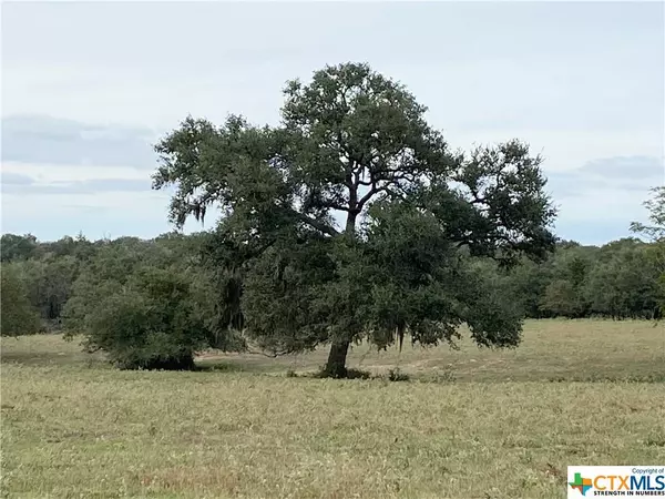 TBD Dickinson RD, Yoakum, TX 77995