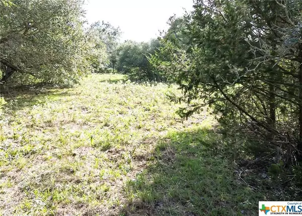 TBD Dickinson RD, Yoakum, TX 77995