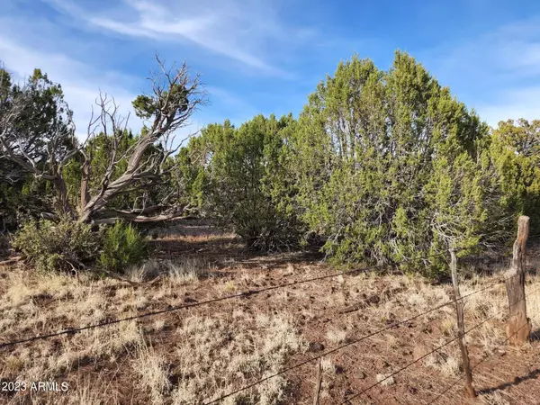 1230 Ortega Mountain Road #-, Show Low, AZ 85901