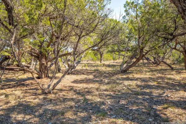 LOT 28 RIO CORDILLERA, Boerne, TX 78006