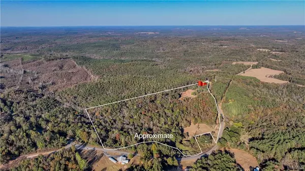 11129 County Rd 12, Fayette, AL 35555