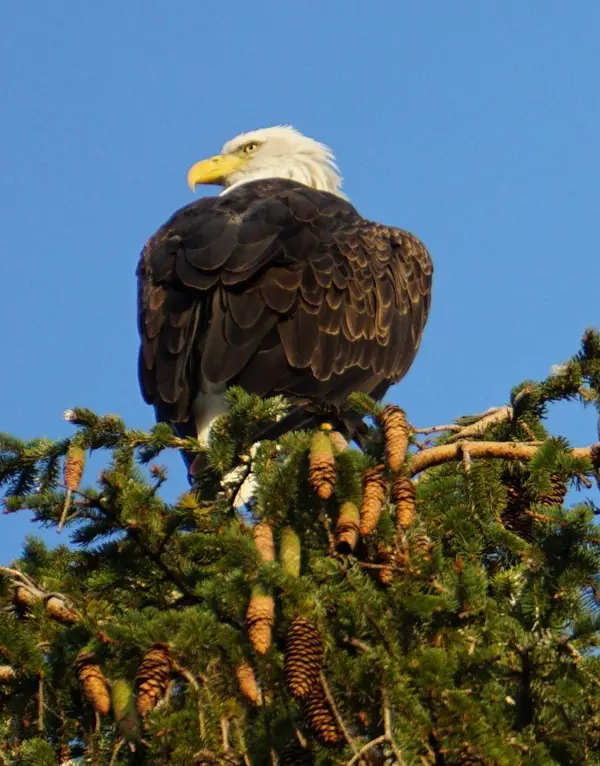 486X E Lake Harriet Pkwy, Minneapolis, MN 55419