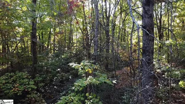 124 Birchbend Drive, Cleveland, SC 29635