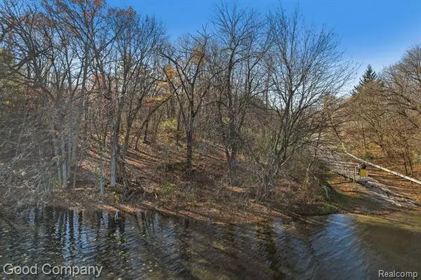 00 Tipsico Lake, Rose Twp, MI 48442