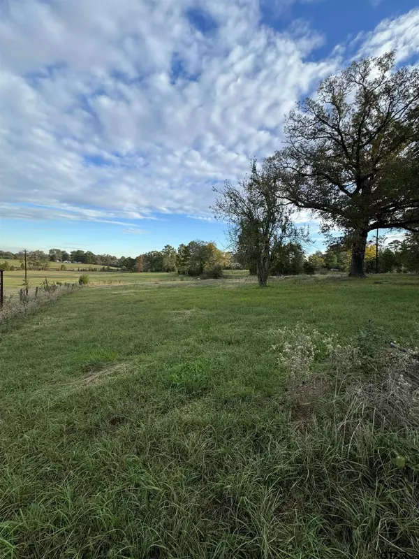 8341 N FM 856, Troup, TX 75789