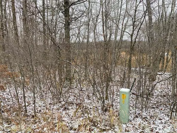 TBD Silver Brook DR, Cass Lake, MN 56633