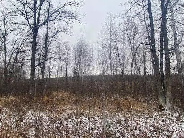 TBD Silver Brook DR, Cass Lake, MN 56633