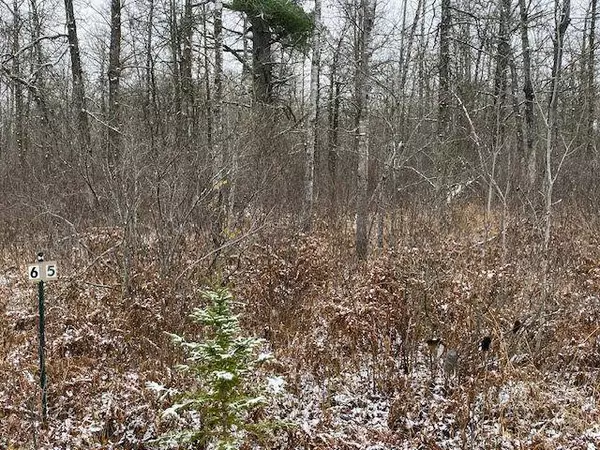 TBD Silver Brook DR, Cass Lake, MN 56633