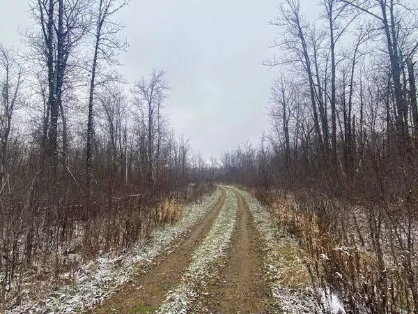 TBD Silver Brook DR, Cass Lake, MN 56633