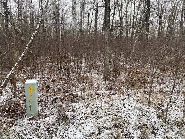 31xxx 470th ST, Cass Lake, MN 56633