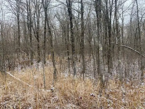 31xxx 470th ST, Cass Lake, MN 56633