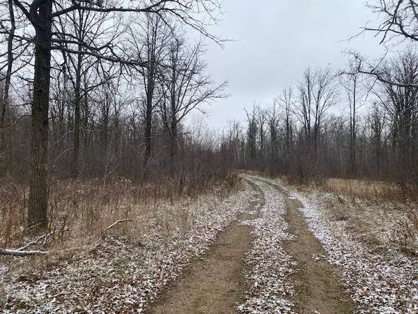 31xxx 470th ST, Cass Lake, MN 56633