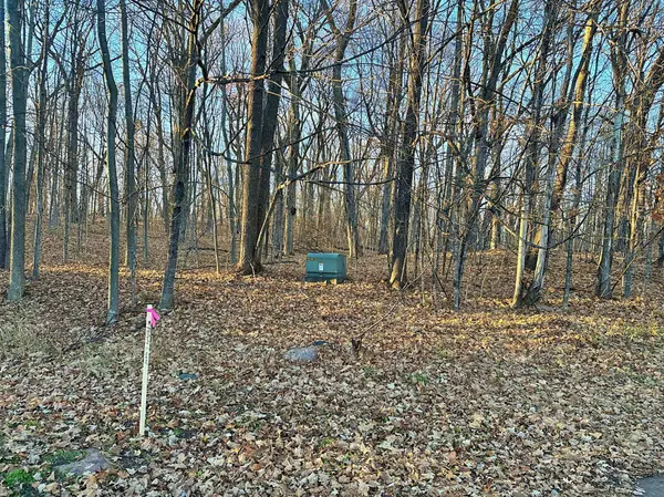 XXX 442nd PL, Aitkin, MN 56431