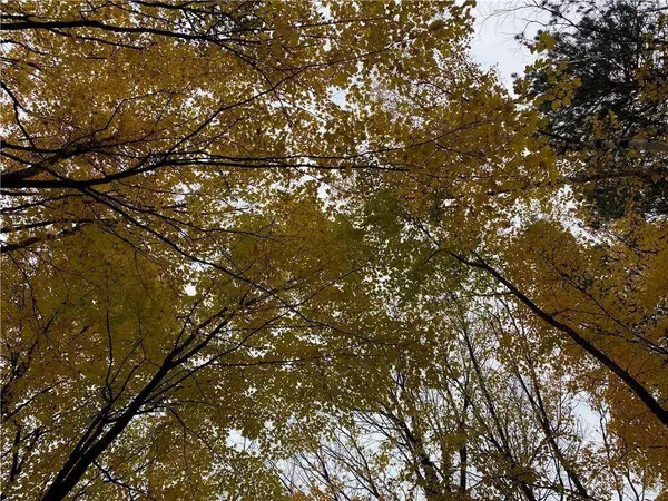 17495 FR 404B, Drummond, WI 54832