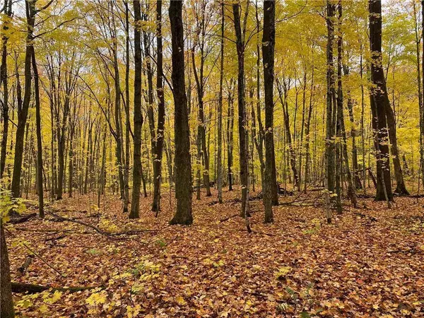 17495 FR 404B, Drummond, WI 54832