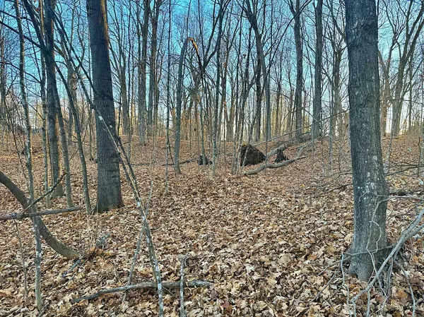 XXX 442nd PL, Aitkin, MN 56431