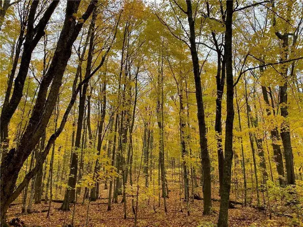 17495 FR 404B, Drummond, WI 54832