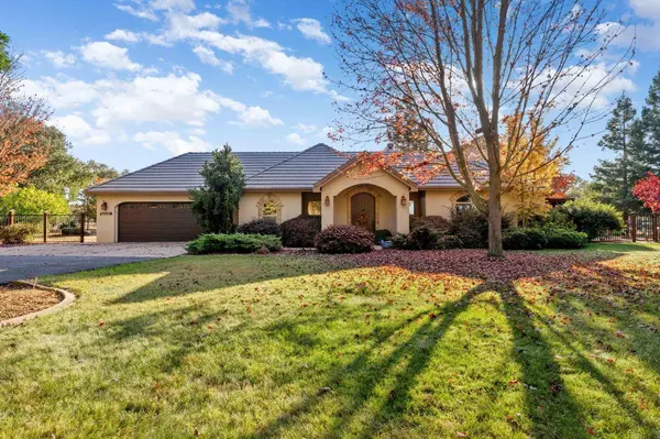 10008 Wilton Oaks CT, Elk Grove, CA 95624