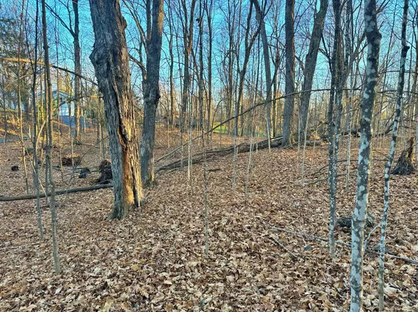 XXX 442nd PL, Aitkin, MN 56431