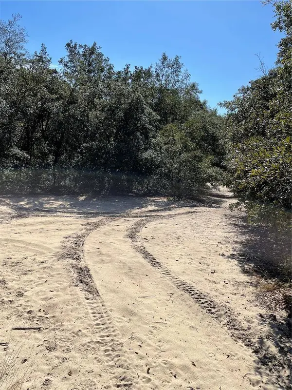 REDBUD RD, Lady Lake, FL 32159