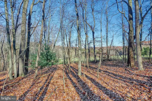 LOT 2 GREENING LIFE LANE, Shermans Dale, PA 17090