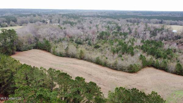 Frank And Ward Mclendon Road, Mendenhall, MS 39114