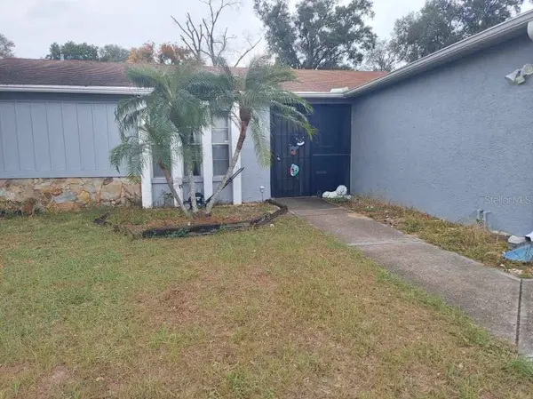 3513 KING RICHARD CT, Seffner, FL 33584