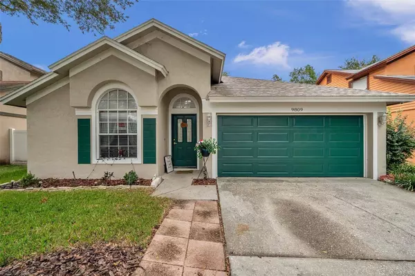 9809 LONG MEADOW DR, Tampa, FL 33615