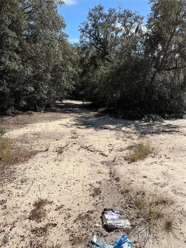 REDBUD RD, Lady Lake, FL 32159