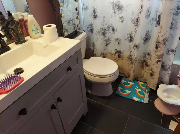 3513 KING RICHARD CT, Seffner, FL 33584