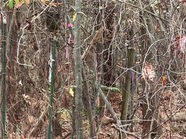 7455 Little Mill RD, Cumming, GA 30041