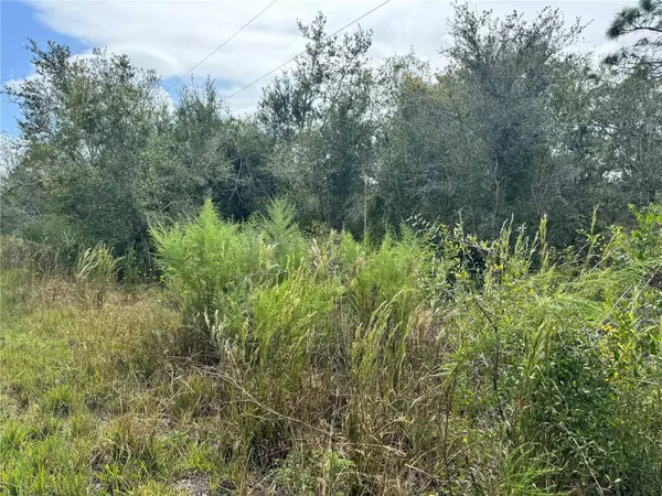 4683 SE RYE AVE, Arcadia, FL 34266