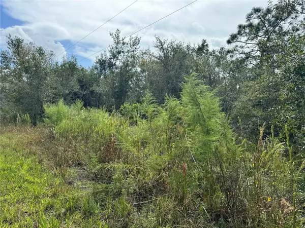 4683 SE RYE AVE, Arcadia, FL 34266