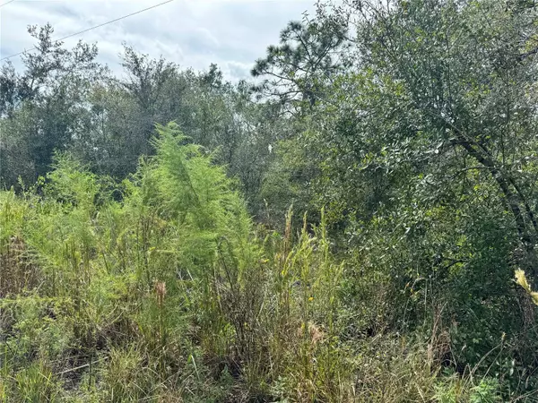 4683 SE RYE AVE, Arcadia, FL 34266