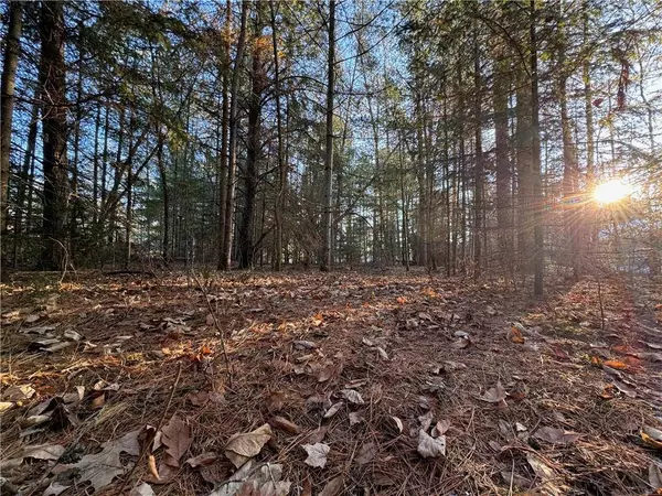 Lot 1 Hamblin Street, Hayward, WI 54843