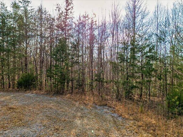 0 Romary RD, Newport, TN 37821